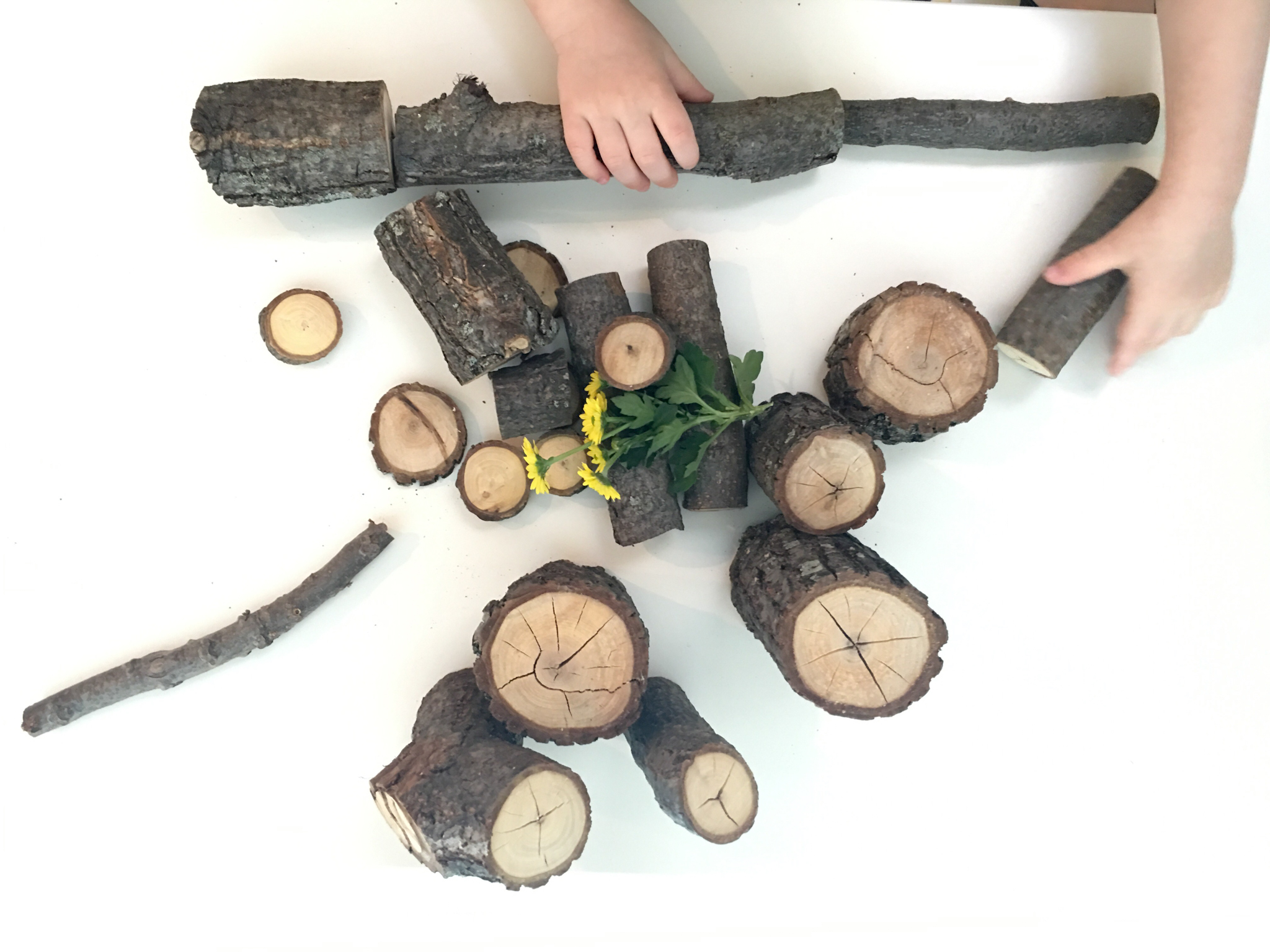 How to Make Nature Blocks - Lollipops and Lemons